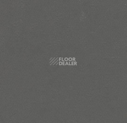 Линолеум Forbo Marmoleum Decibel on Order 336835 grey iron фото 1 | FLOORDEALER